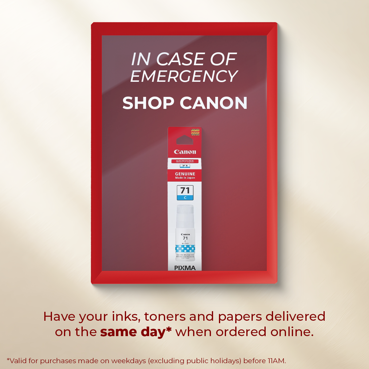 In-case-of-emergencies-(consumables).png