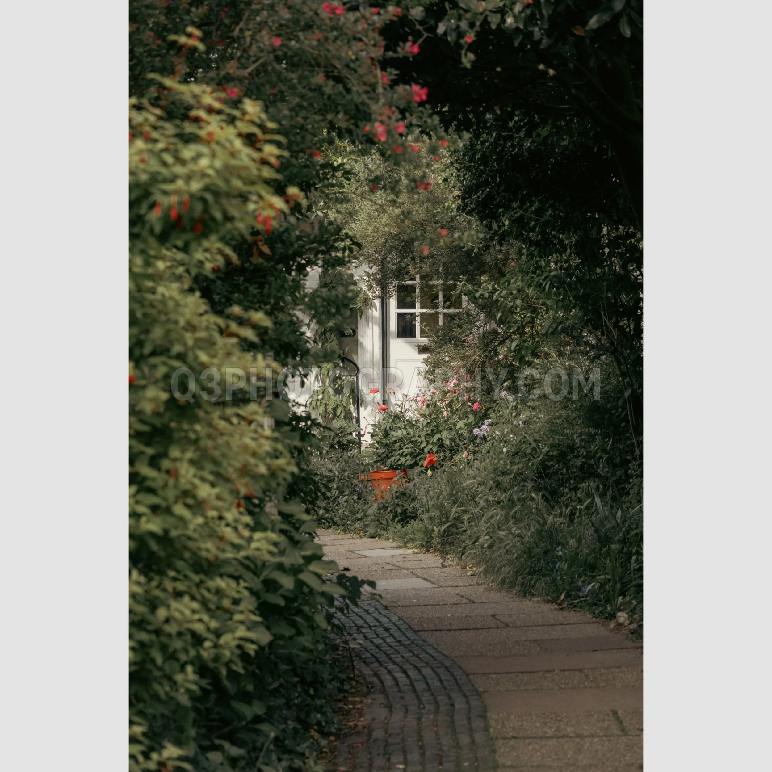 Hidden in Foliage Portrait - Rye, UK
