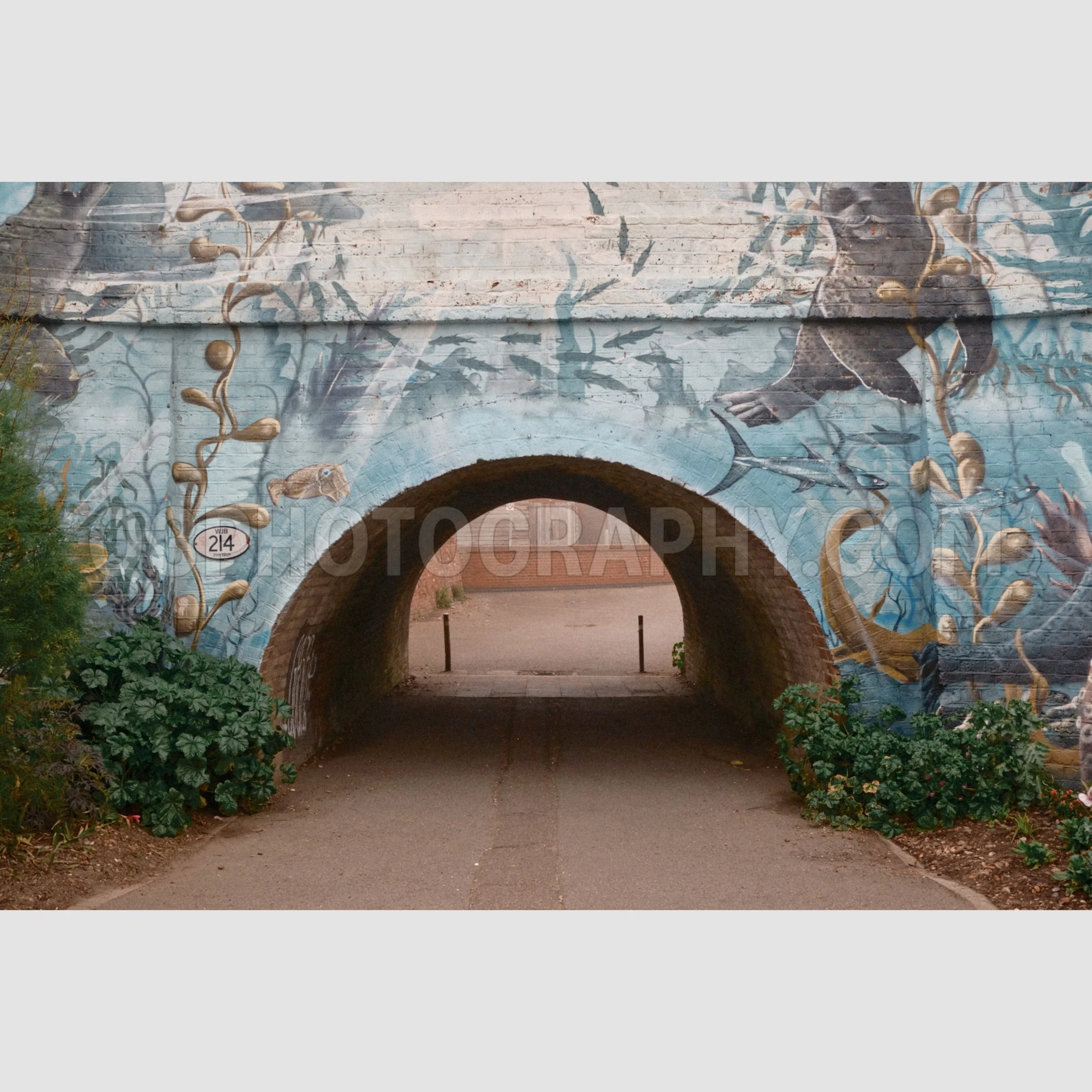 Under the Sea Mural - Bexhill, UK