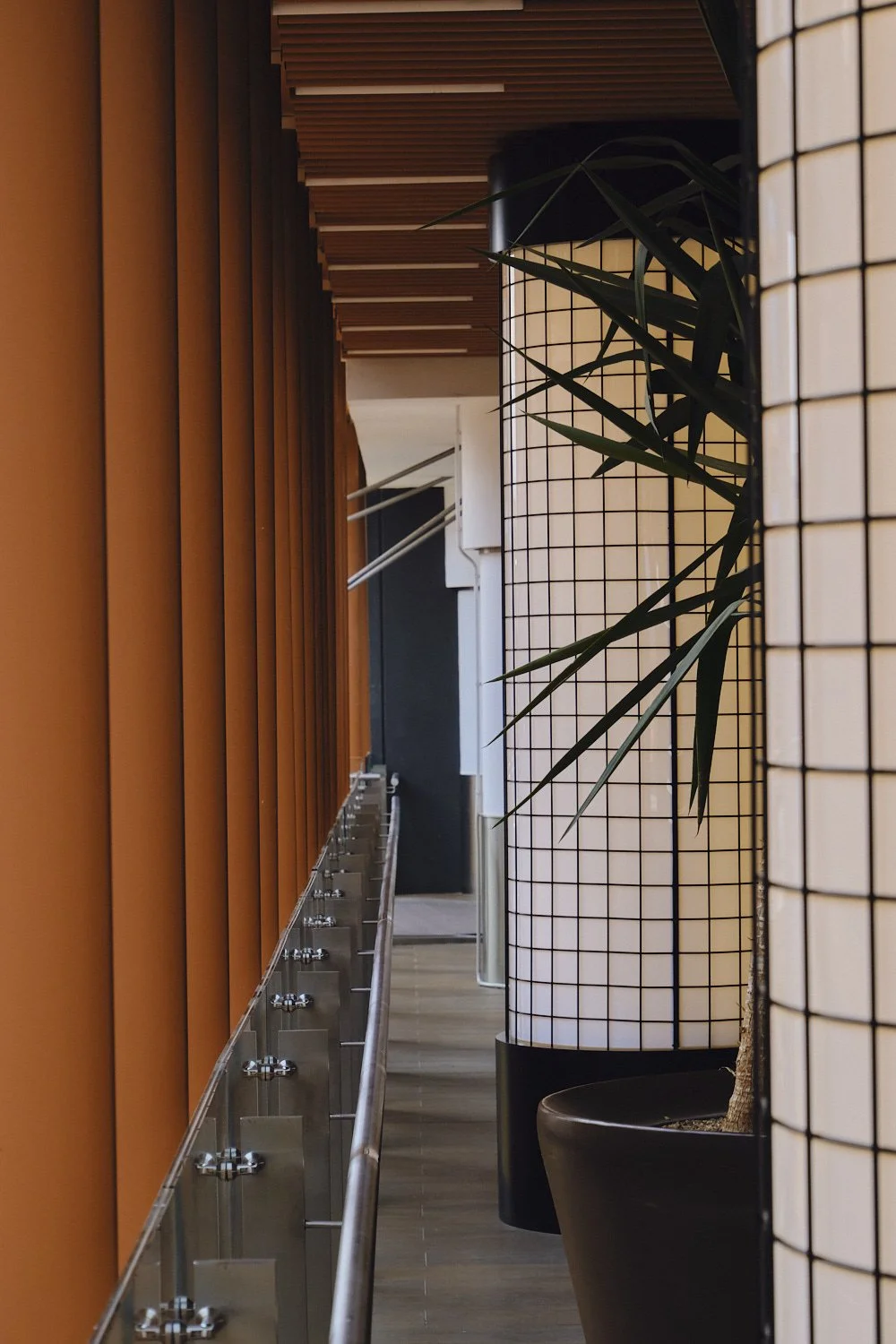 DSCF5738.jpg