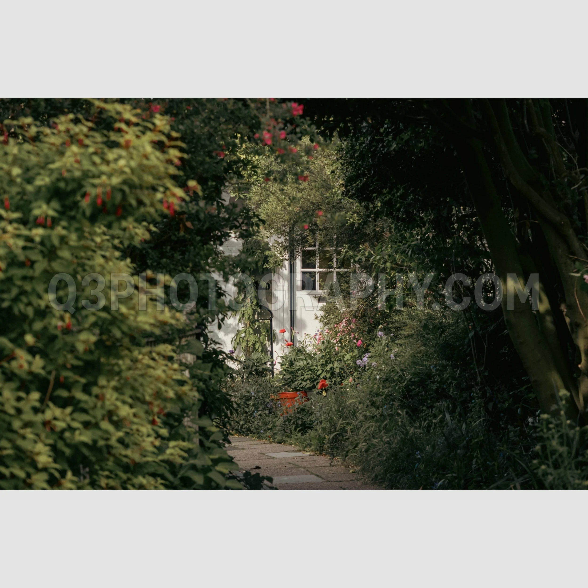 Hidden in Foliage Horizontal - Rye, UK