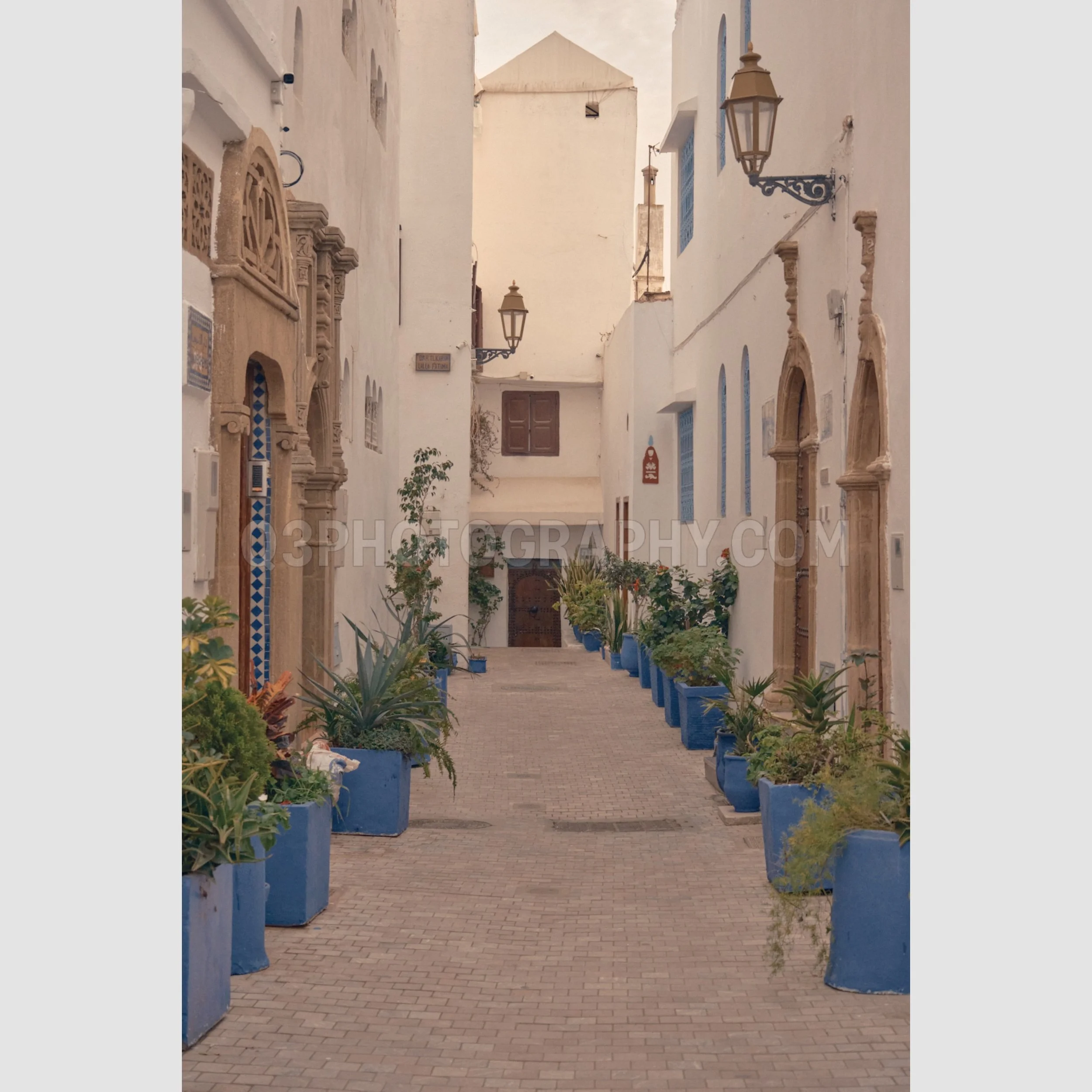 Blue Planters - Rabat, Morocco