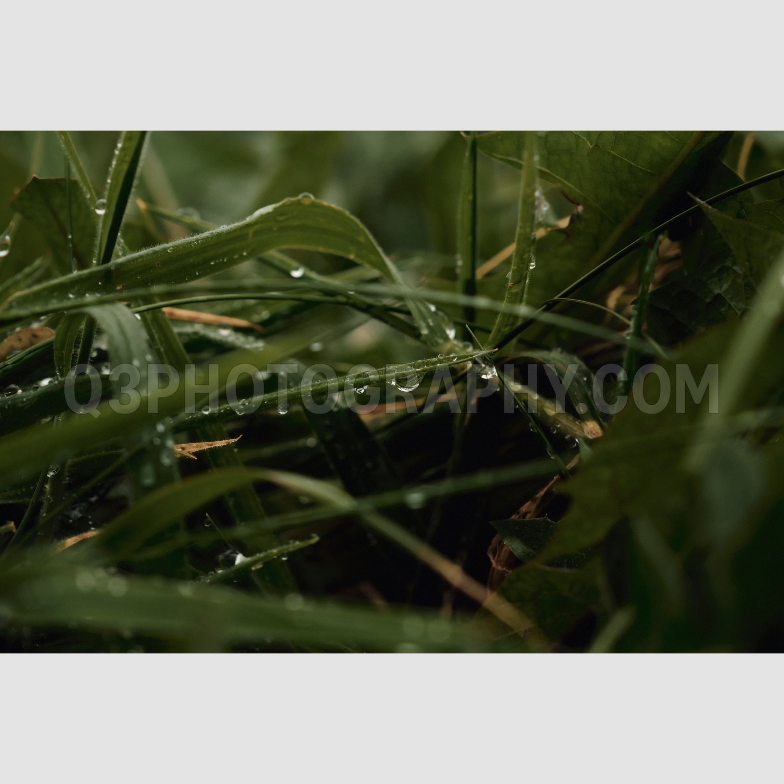 Water Droplets - Moher, Republic of Ireland