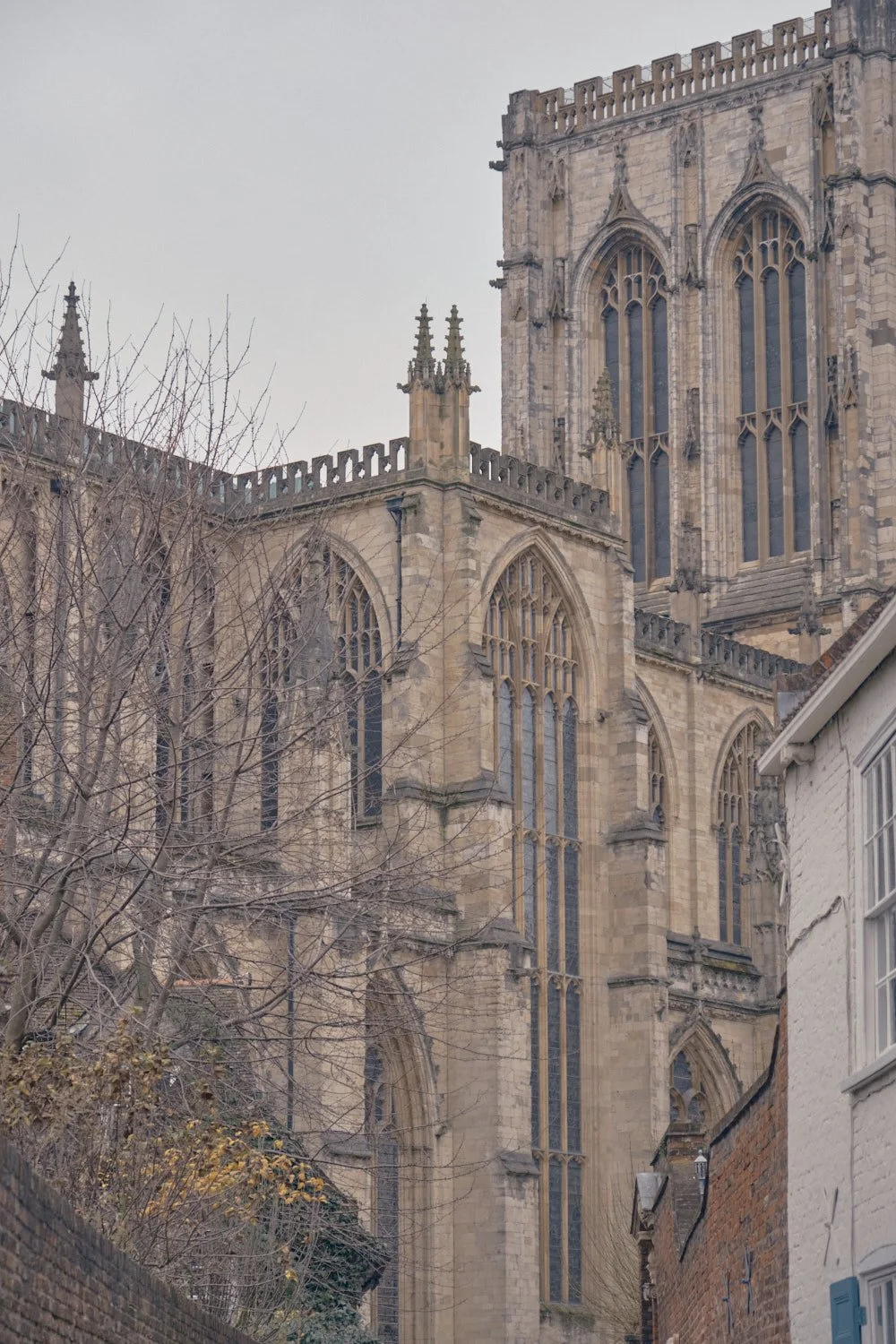DSCF5385.jpg