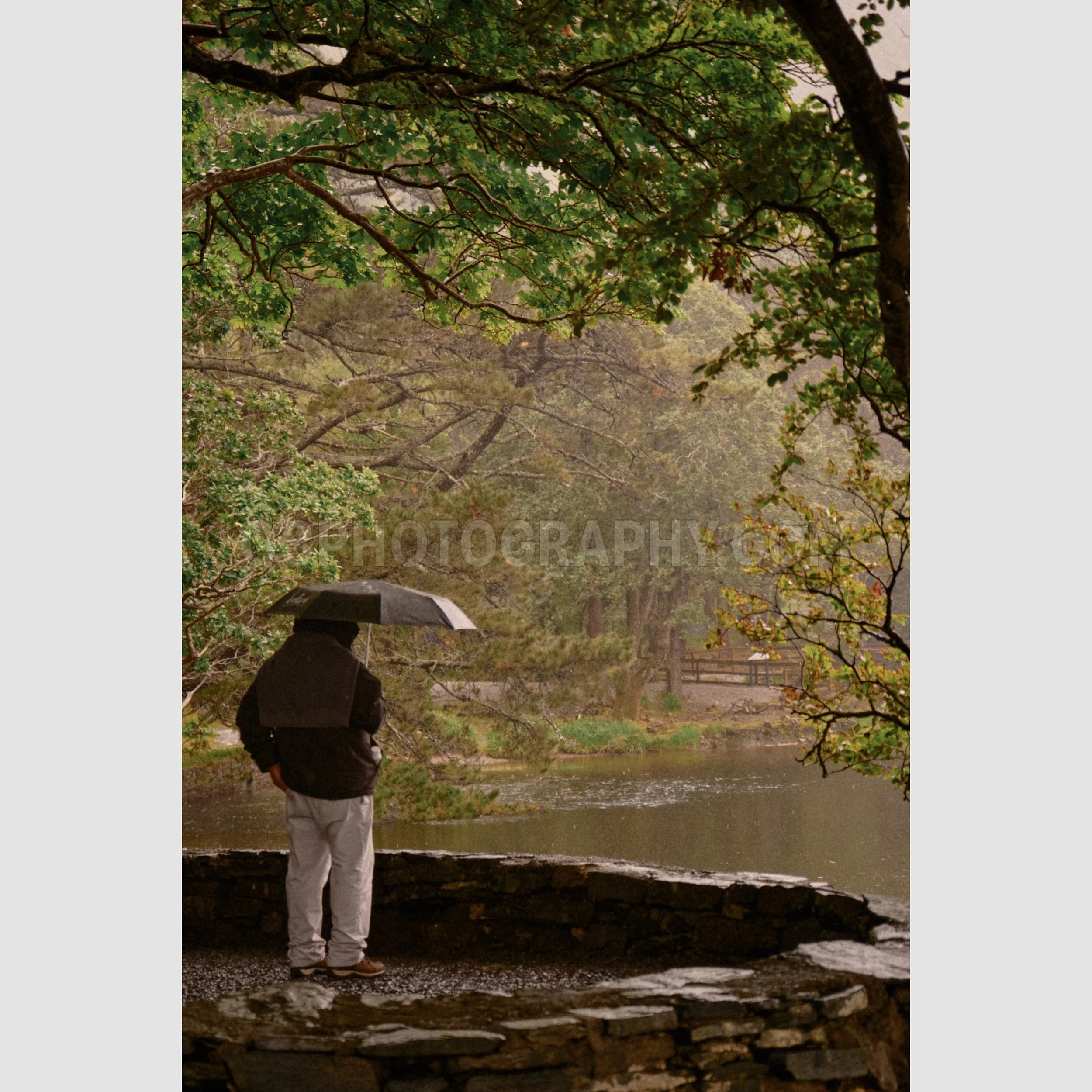 Pensive - Kylemore Abbey, Republic of Ireland