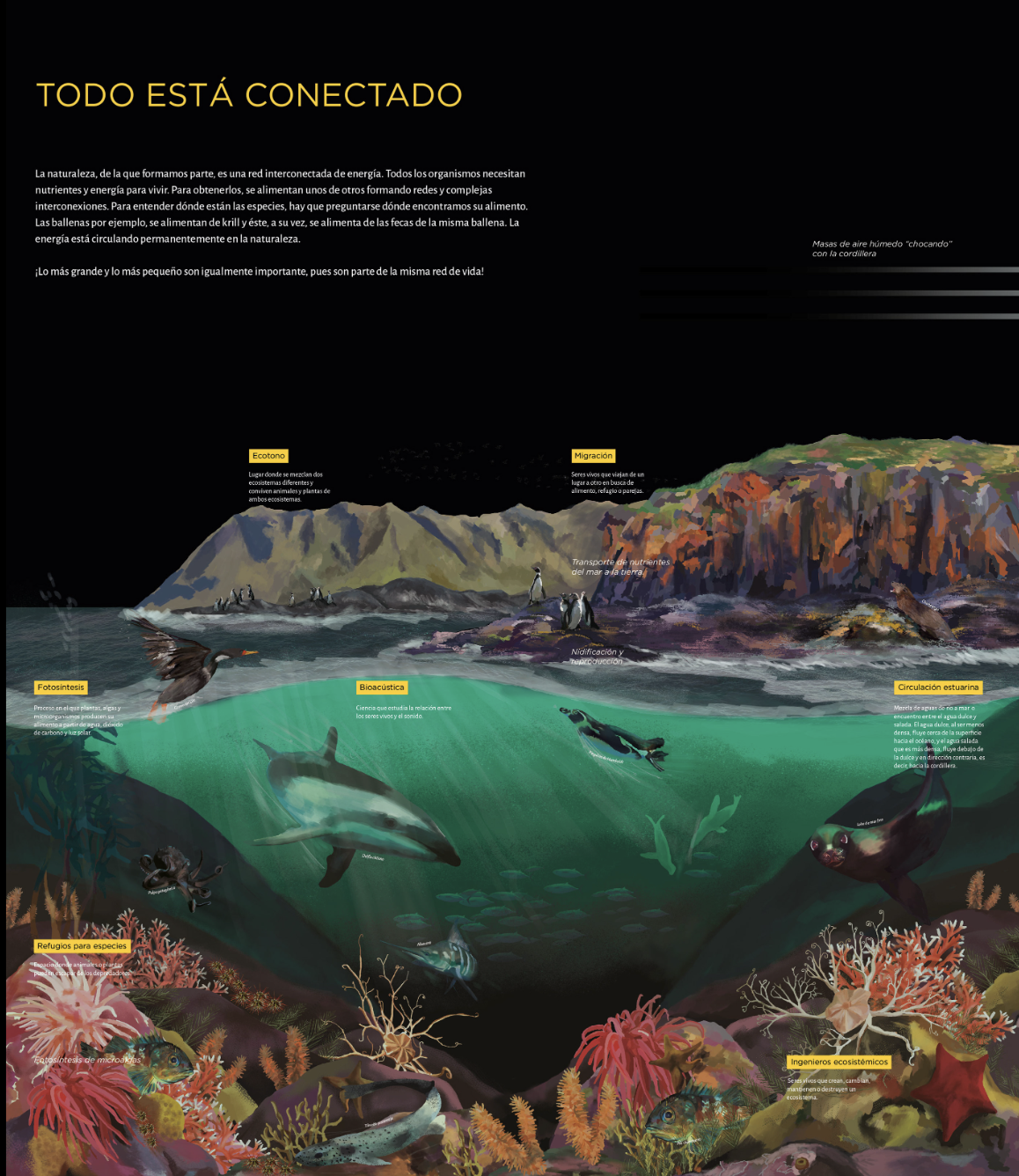 Captura de pantalla 2025-03-13 a la(s) 18.33.17.png