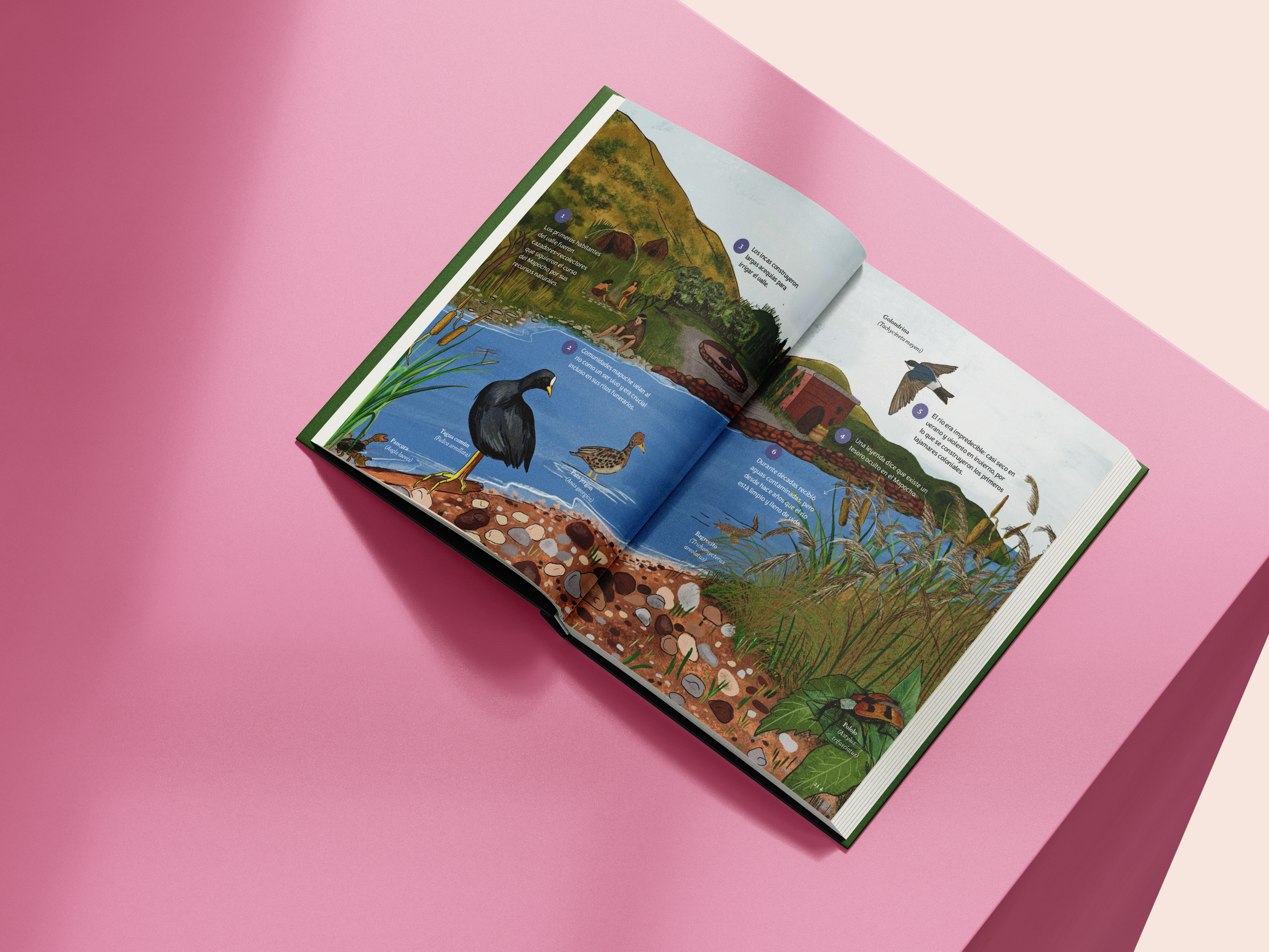 Mockup Vitacura03.png
