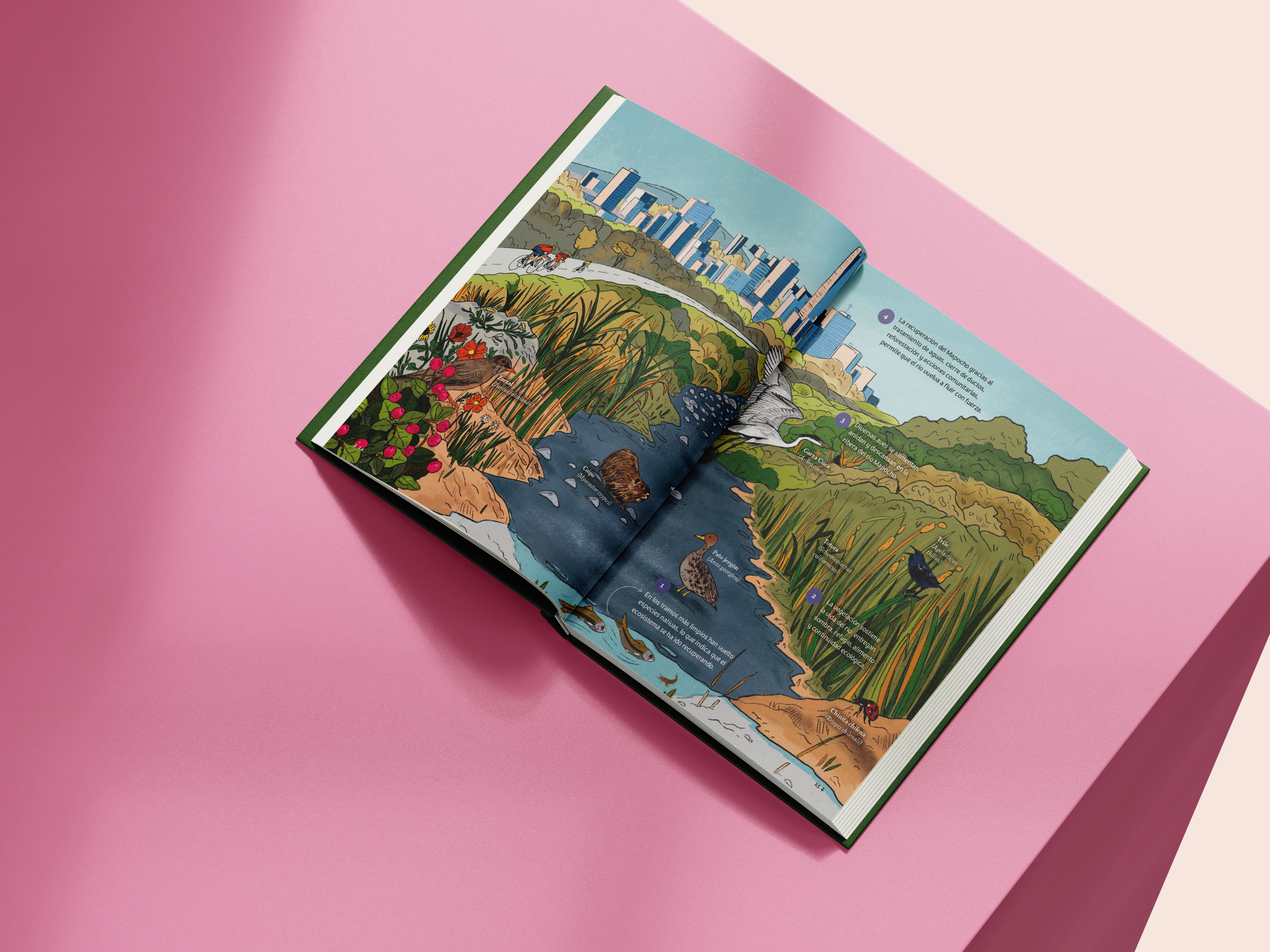 Mockup Vitacura04.png