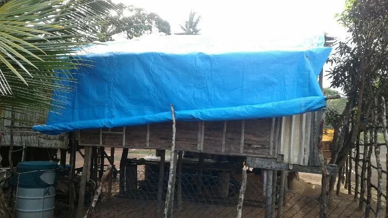 One of the houses that received a cotton tarp.JPG