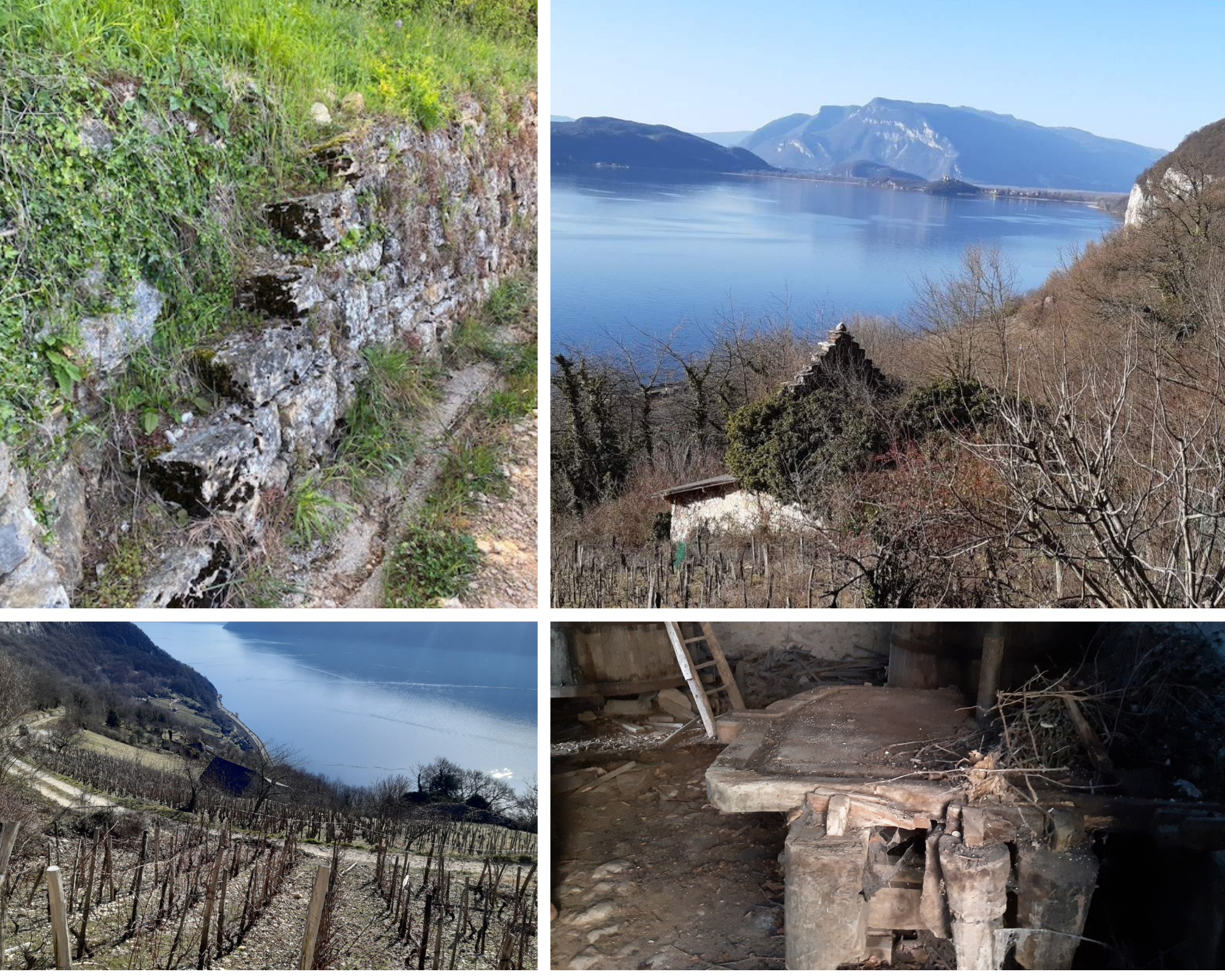 Histoire du Coteau de la Chambotte