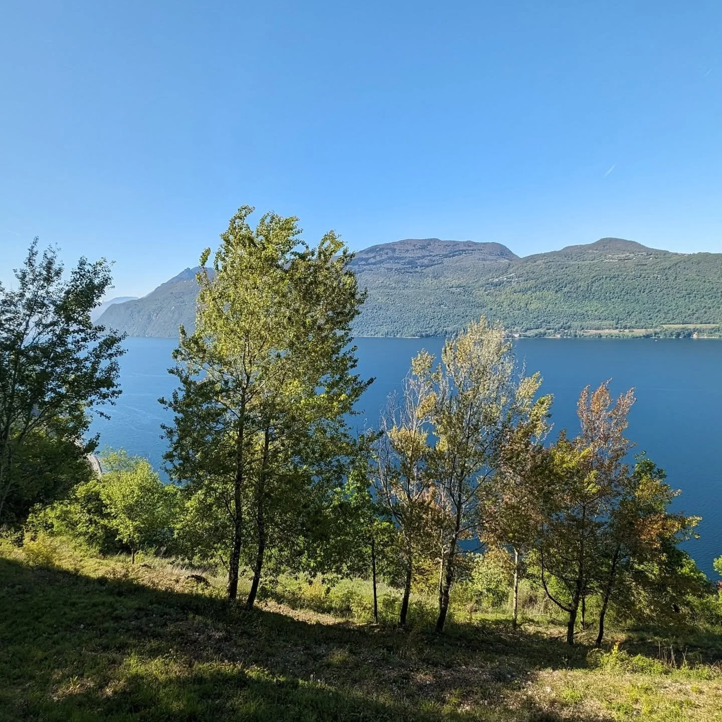 Le Coteau de la Chambotte au printemps ? C'est comme &ccedil;a....

#chambotte #savoie #vin #lac #bourget