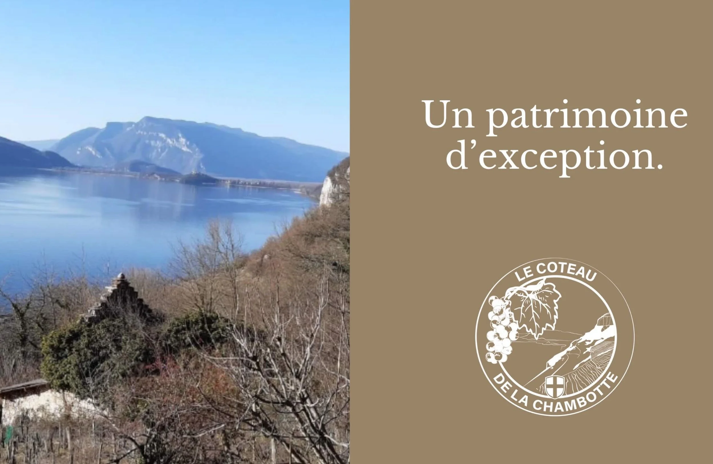 Le Coteau de la Chambotte, pourquoi ?

Pour en savoir plus sur l&rsquo;histoire du Coteau et sur notre projet, rendez-vous sur notre site www.coteauchambottesavoie.fR (lien en bio).

#lacdubourget #chambotte #vin #savoie #hautecombe
