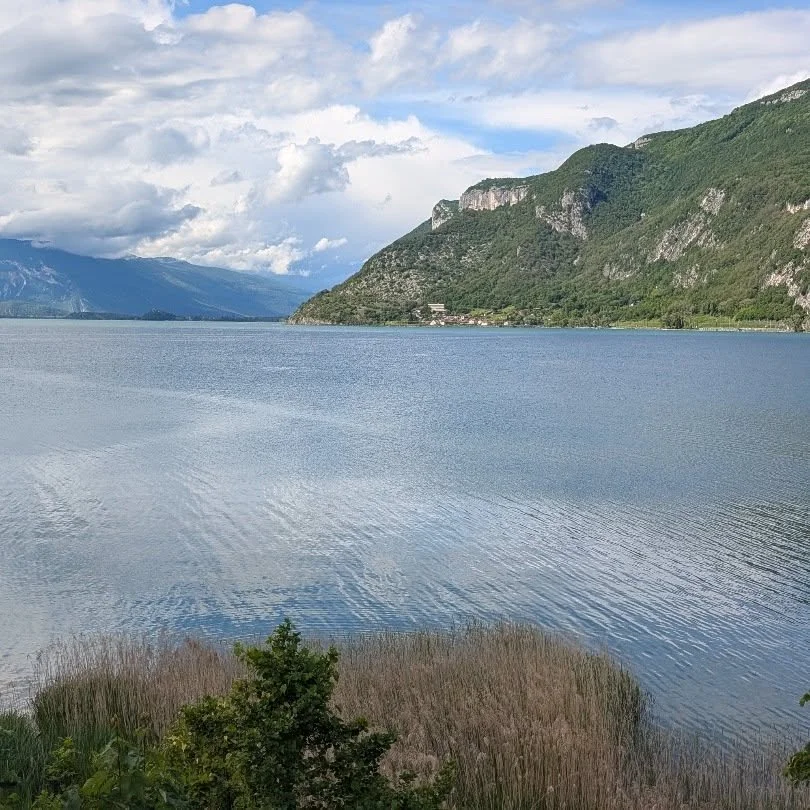 De pr&egrave;s ou de loin, le Coteau de la Chambotte semble magn&eacute;tique, non ? 
Plus d'infos sur notre projet de r&eacute;habilitation des vignes sur les hauteurs du Coteau : sur notre site web (lien en bio).

#coteaudelaChambotte
#savoie #agro