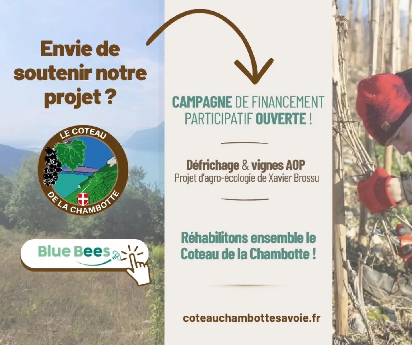 C'EST OFFICIEL : La campagne Blue Bees pour le Coteau de la Chambotte est ouverte ! 🐝🍇

​Sur les hauteurs du Lac du Bourget, un terroir d'exception s'appr&ecirc;te &agrave; rena&icirc;tre. Mais avant de voir s'&eacute;panouir les futurs cep de vign