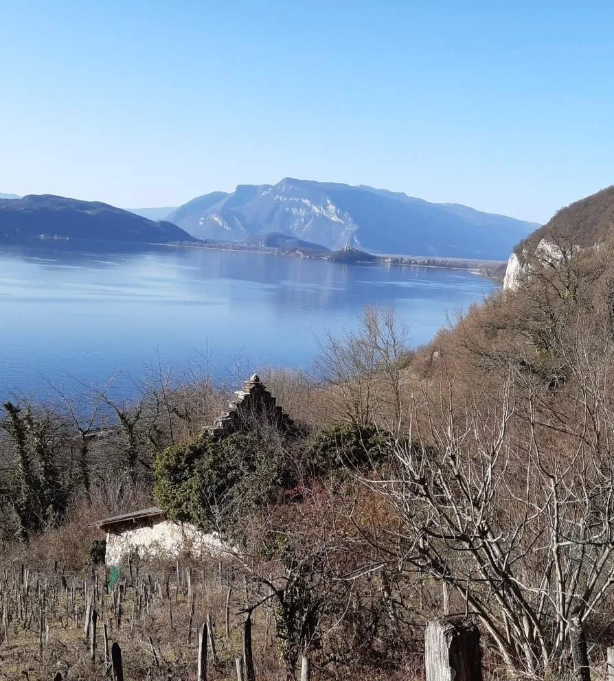 Vue sur le Lac du Bourget, du Coteau de la Chambotte, avec un sarto à réhabiliter