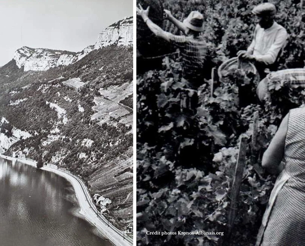 Coteau de la Chambotte, vignerons dans les années 60