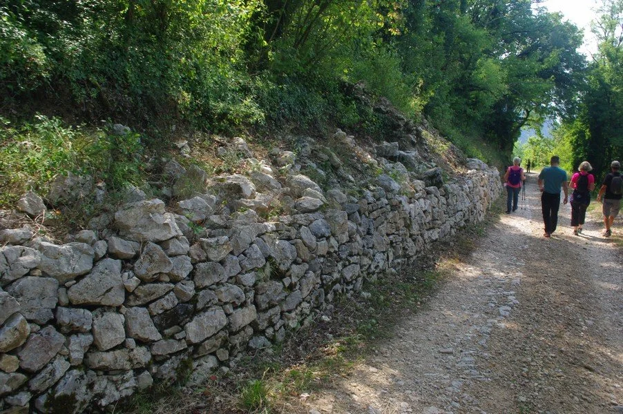 Groupe de personnes marchant sur un sentier de randonnée bordé d'un mur de pierres et de végétation