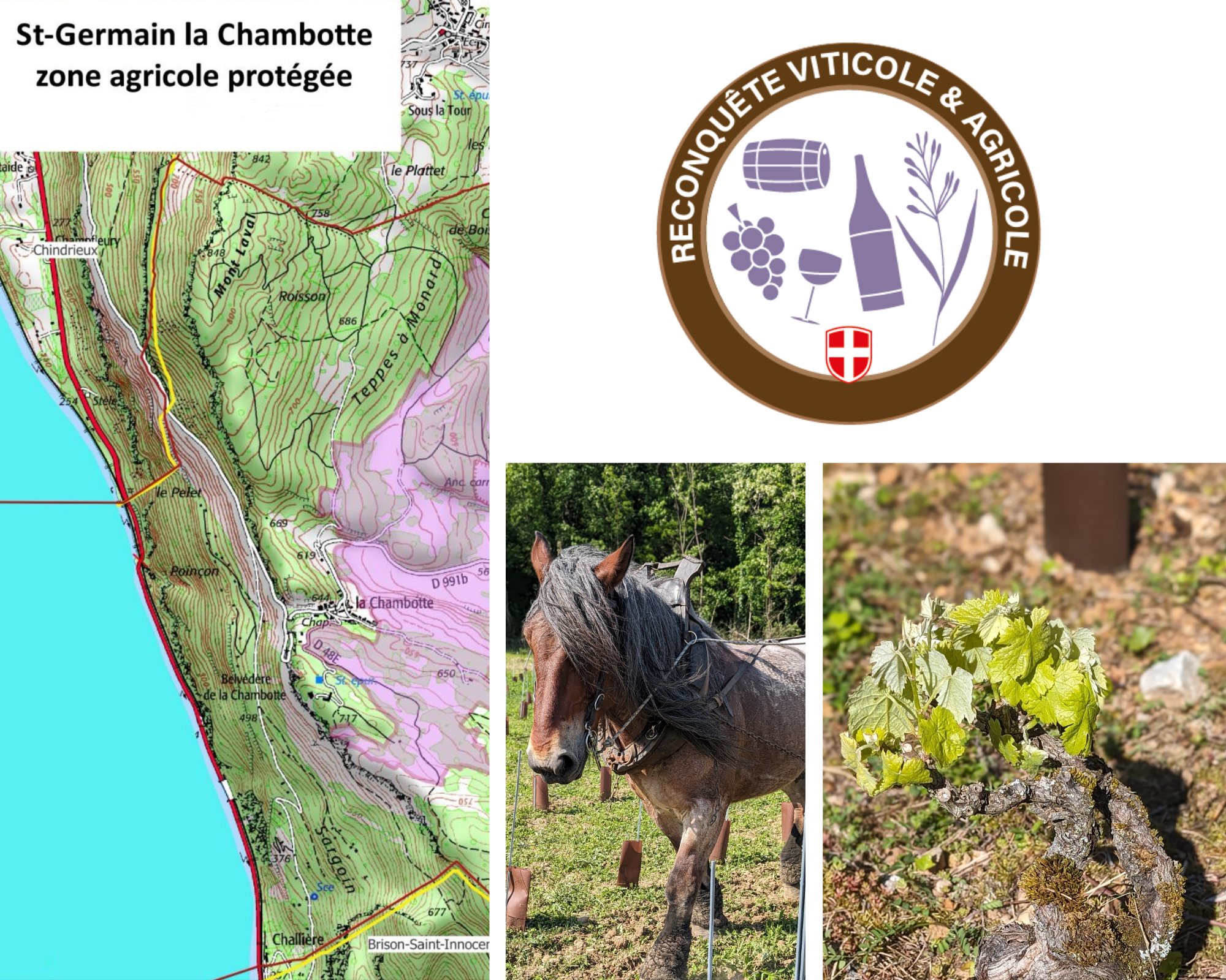 Carte topographique de la région de St-Germain la Chambotte,