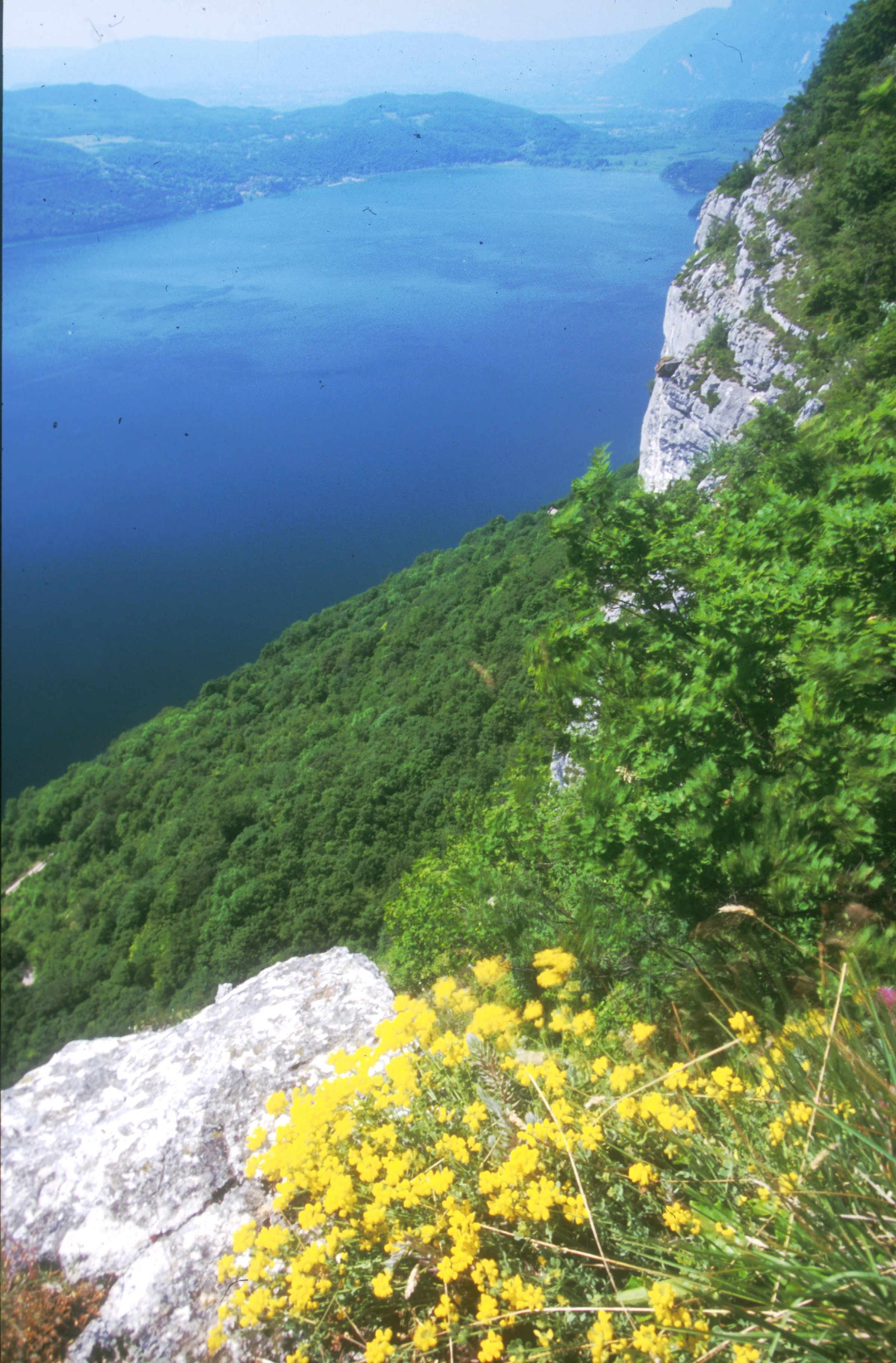 Vue sur le lac du Bourget en Savoie