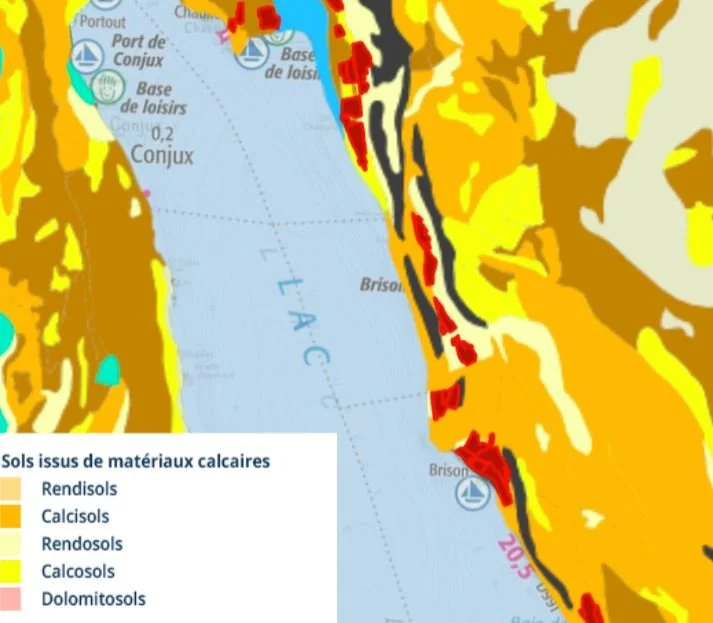 Carte géologique montrant les types de sols issus de matériaux calcaire, avec des couleurs représentant les rendisols, calcisols, rendosols, calcosols, dolomitosols, autour du lac. Coteau de la Chambotte, Savoie