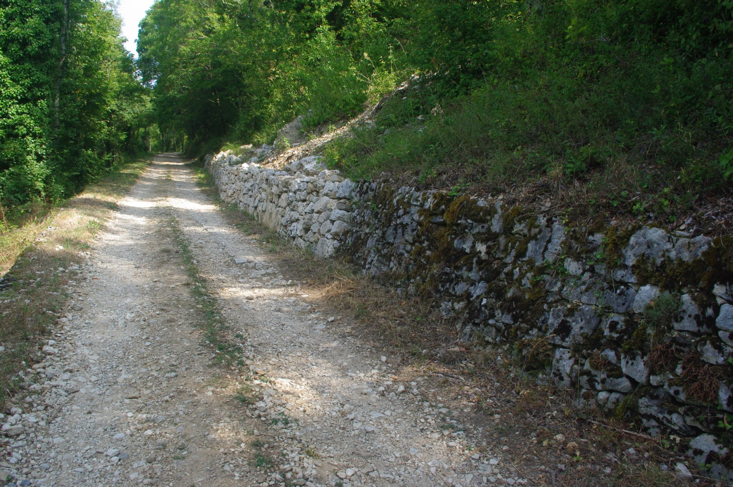 Chemin de terre bordé d'une vieille muraille en pierre sur un côté et une végétation dense de l'autre, dans un environnement boisé.