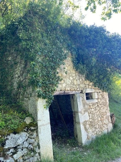 Une vieille cabane en pierre recouverte de végétation, entourée d'arbres et d'herbes, avec une ouverture en façade.