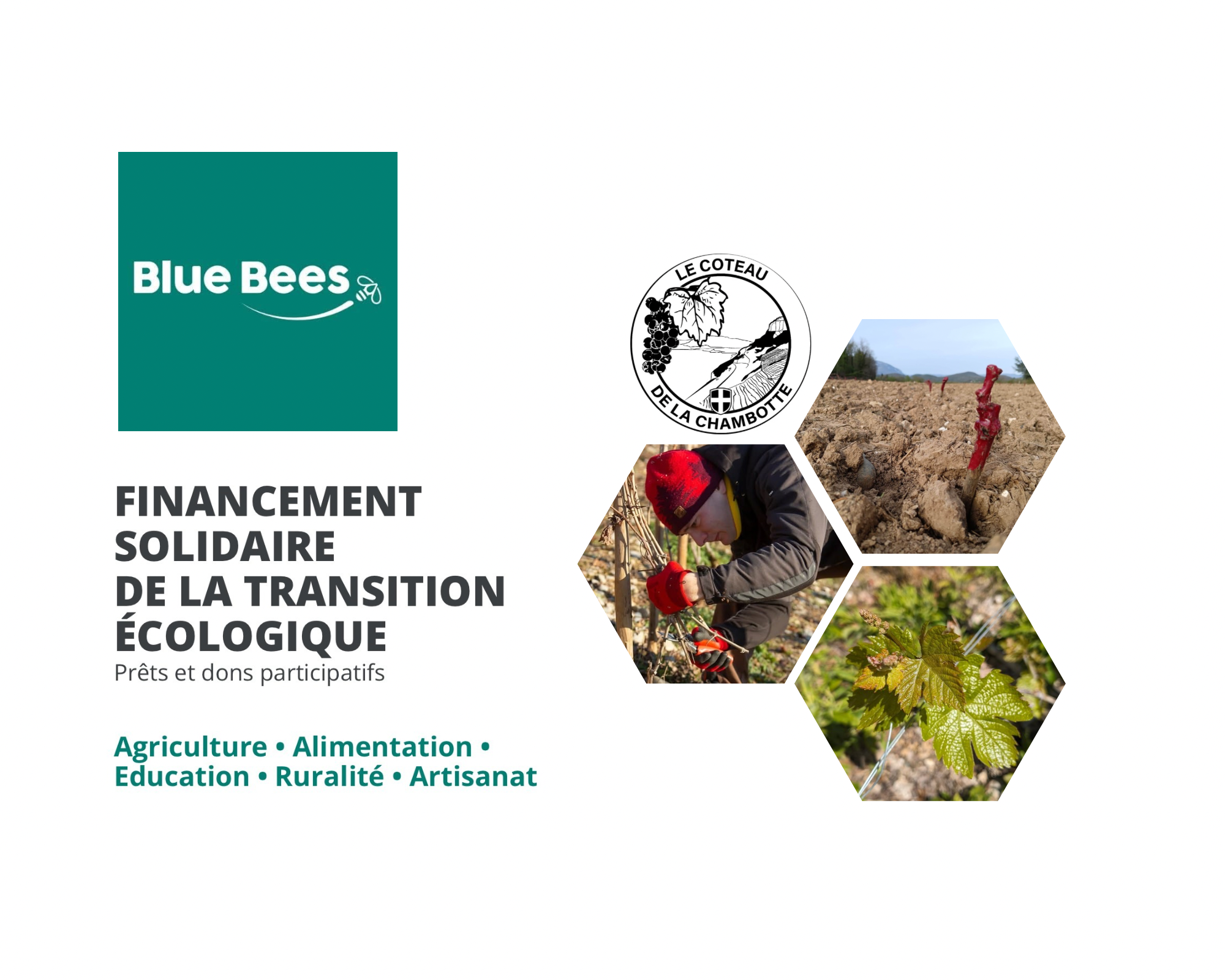 Affiche pour un financement solidaire de la transition écologique, avec le logo Blue Bees