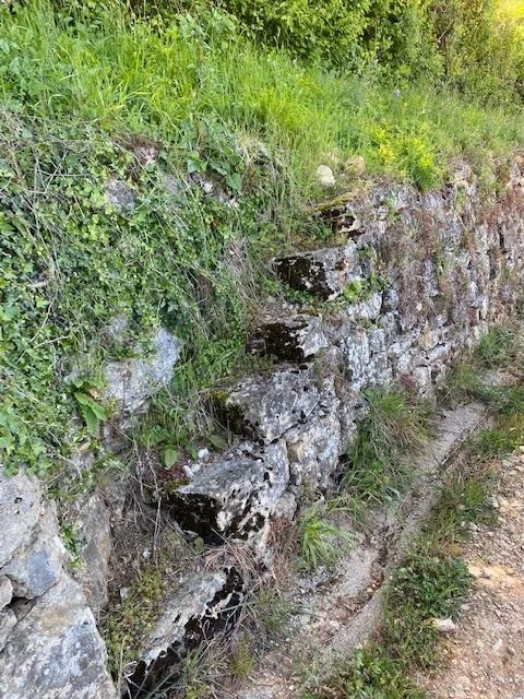 Escaliers en pierre intégrés dans un mur le long d'une côte herbeuse.