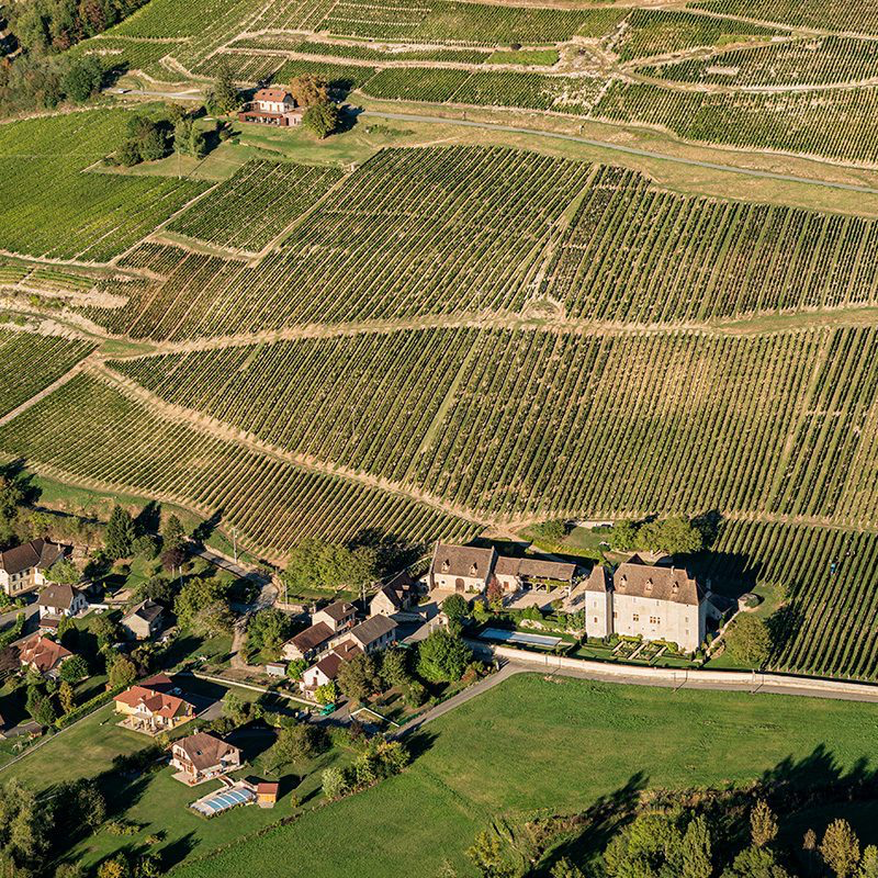 Vignobles étendus en terrasses avec une petite maison et un bâtiment historique dans un paysage rural rural en terrasse.