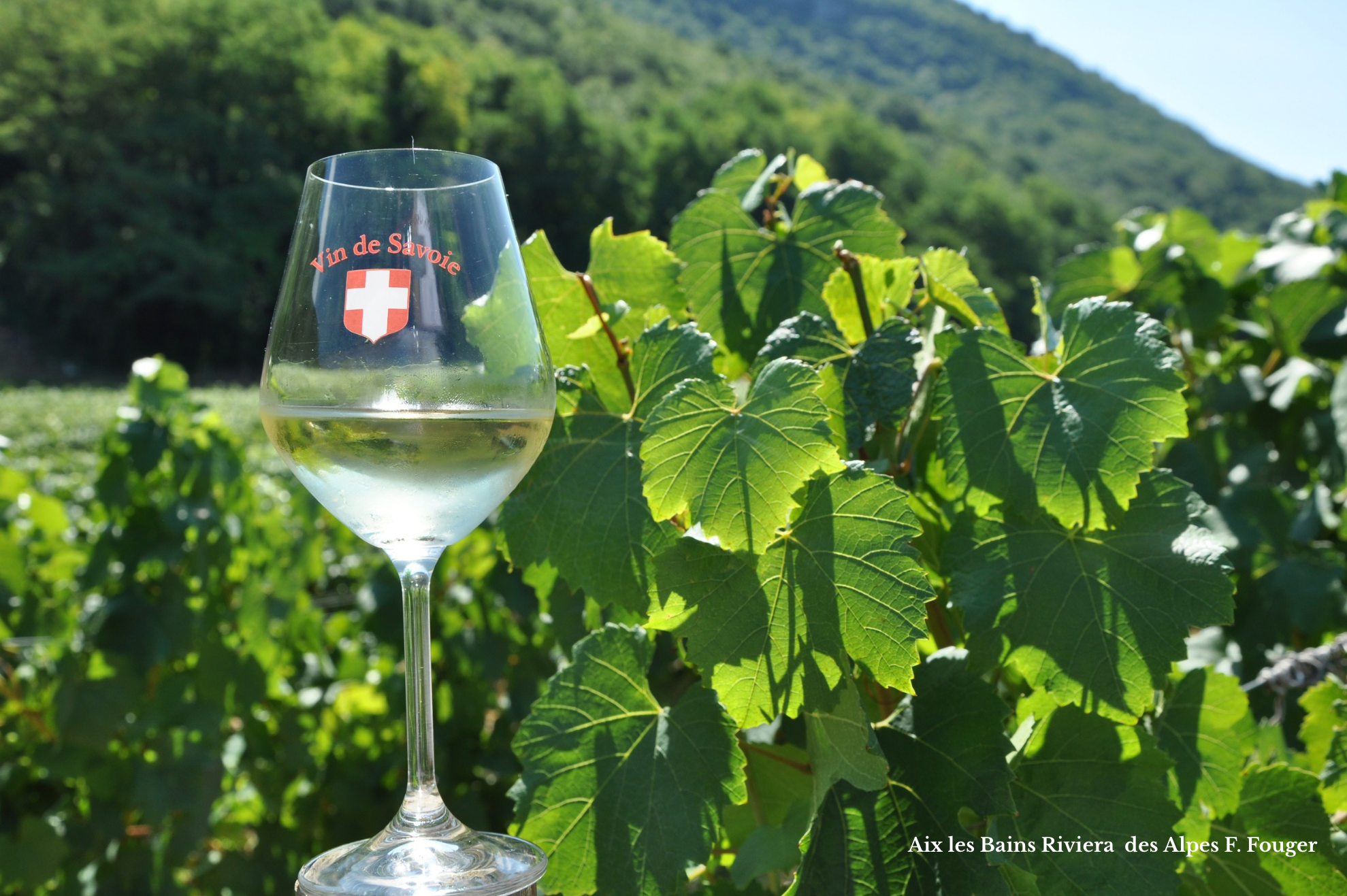 Verre de vin blanc avec une inscription »Vin de Savoie » et un symbole de croix blanche sur un fond de vignes vertes sous un ciel ensoleillé dans la région Rhône-Alpes.
