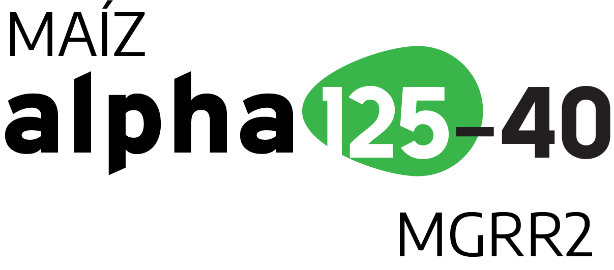 Texto "Maíz alpha 125-40 MGRR2" en fondo blanco, con un diseño en verde para "125".