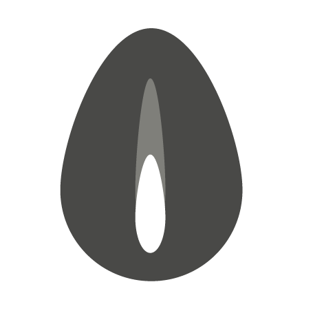 Ilustración de una semilla negra con un diseño minimalista y estilizado.