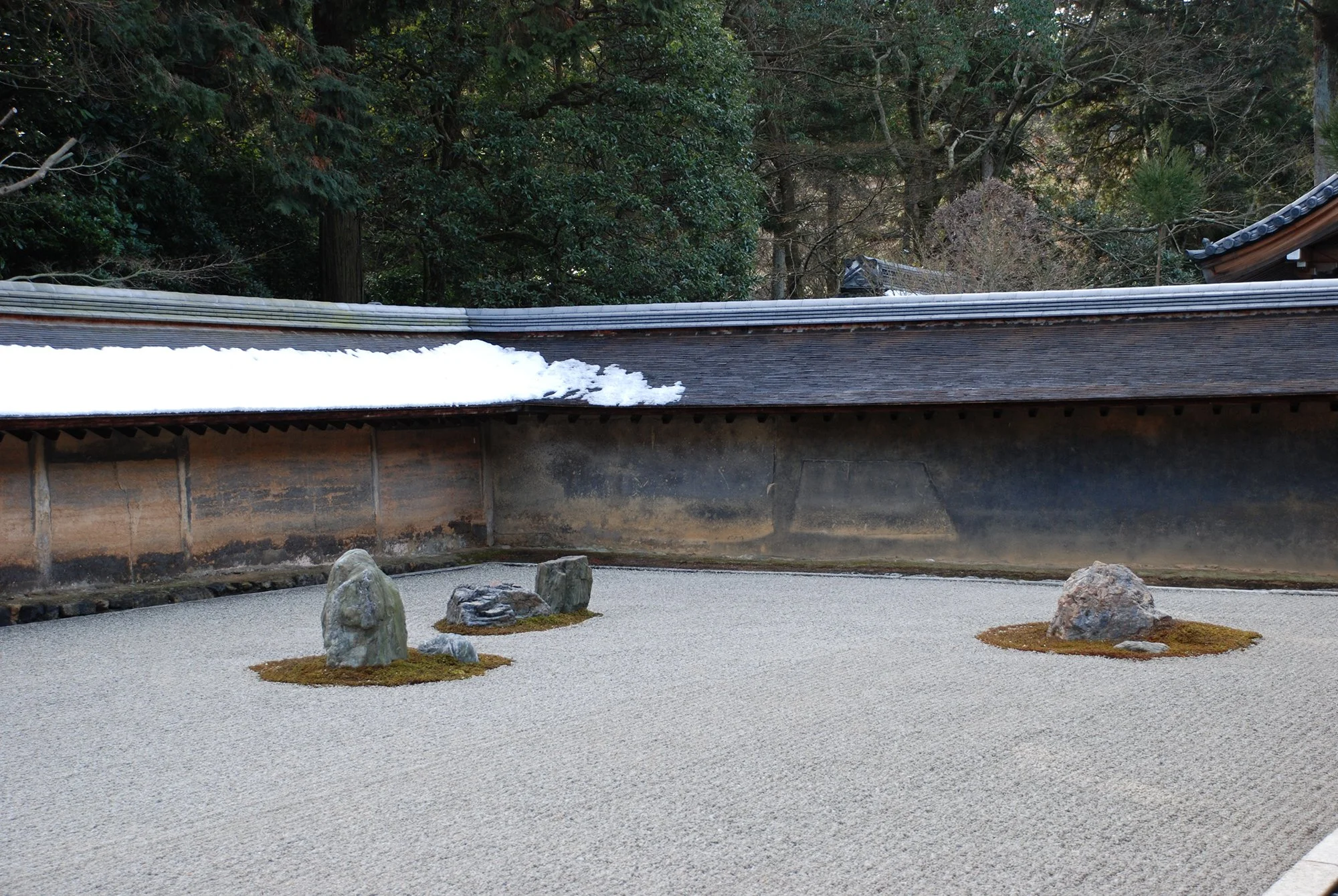 DSC_0117.jpg