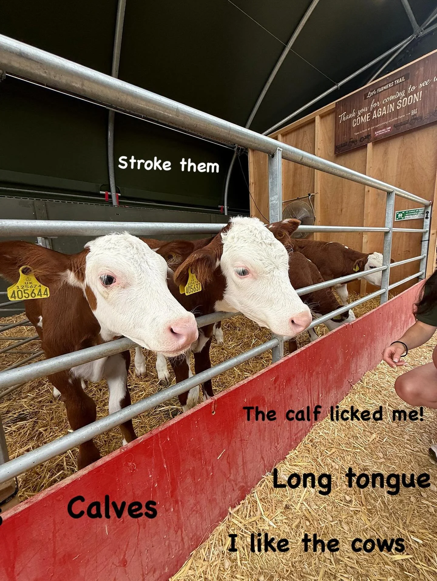 🐄 A day at the farm as a Speech Therapist and mum of a 1 year old🐄
On Mondays, we go to the farm to learn new words (and eat good food!) 💬
There were lots of baby animals and animals we haven’t seen on some of our other farm trips.
👨&z
