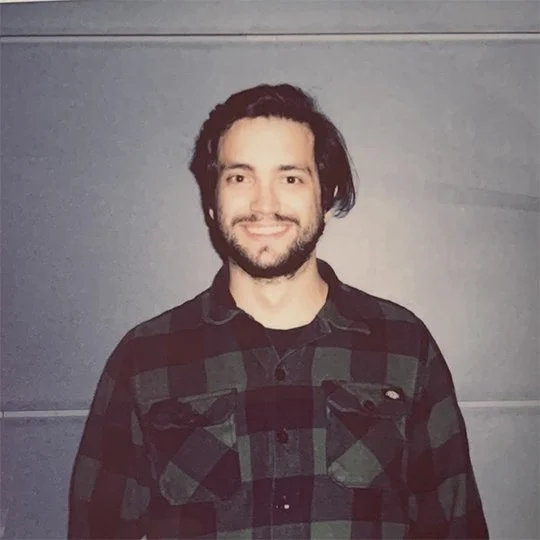 Abstract lion head with flowing mane on gray background