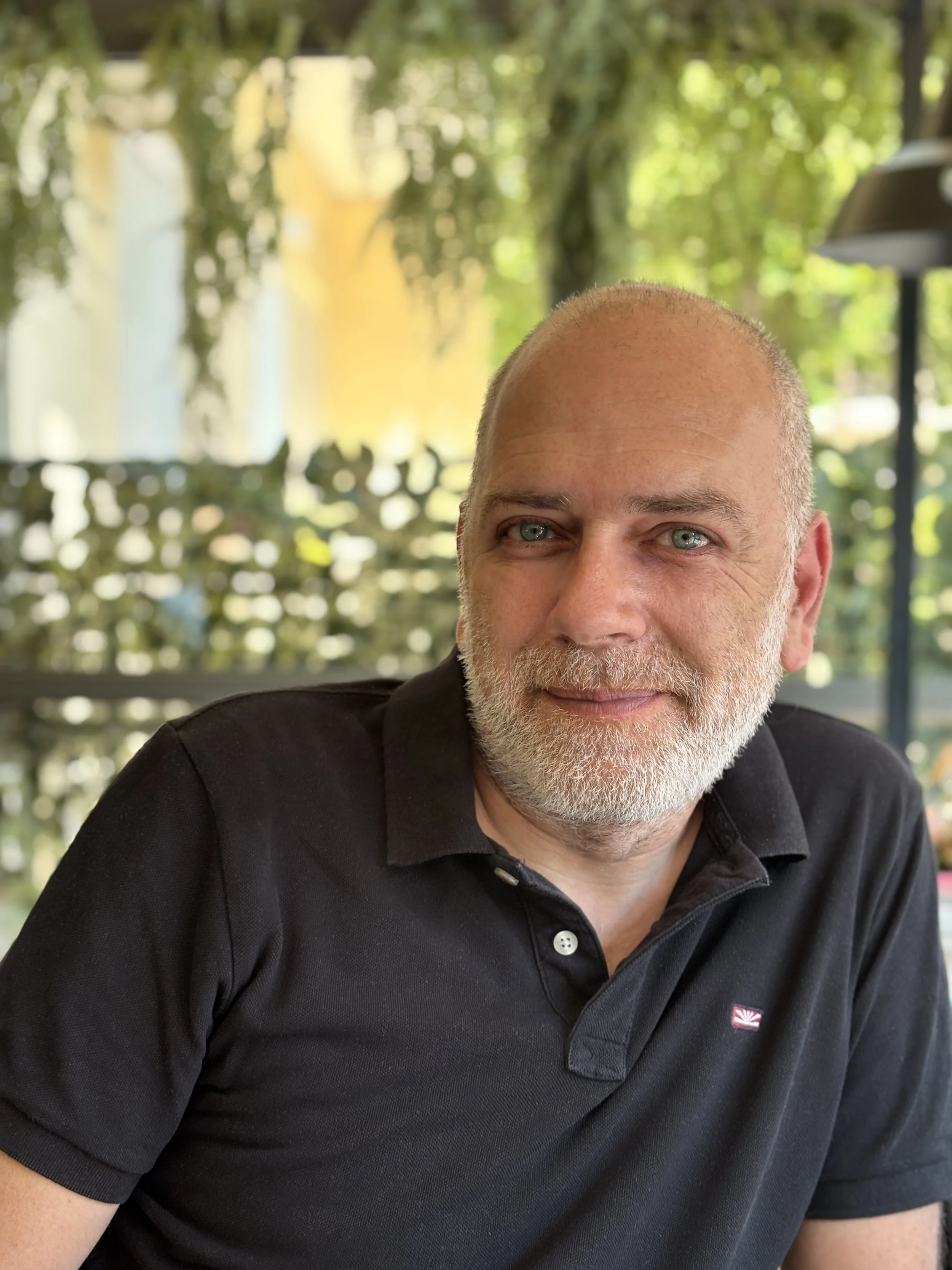 Abstract 3D sculpture of a lion in profile, gray color