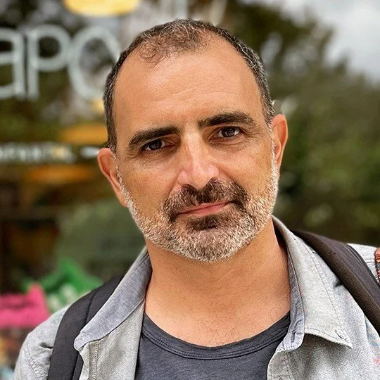 Embossed abstract lion head in dark gray