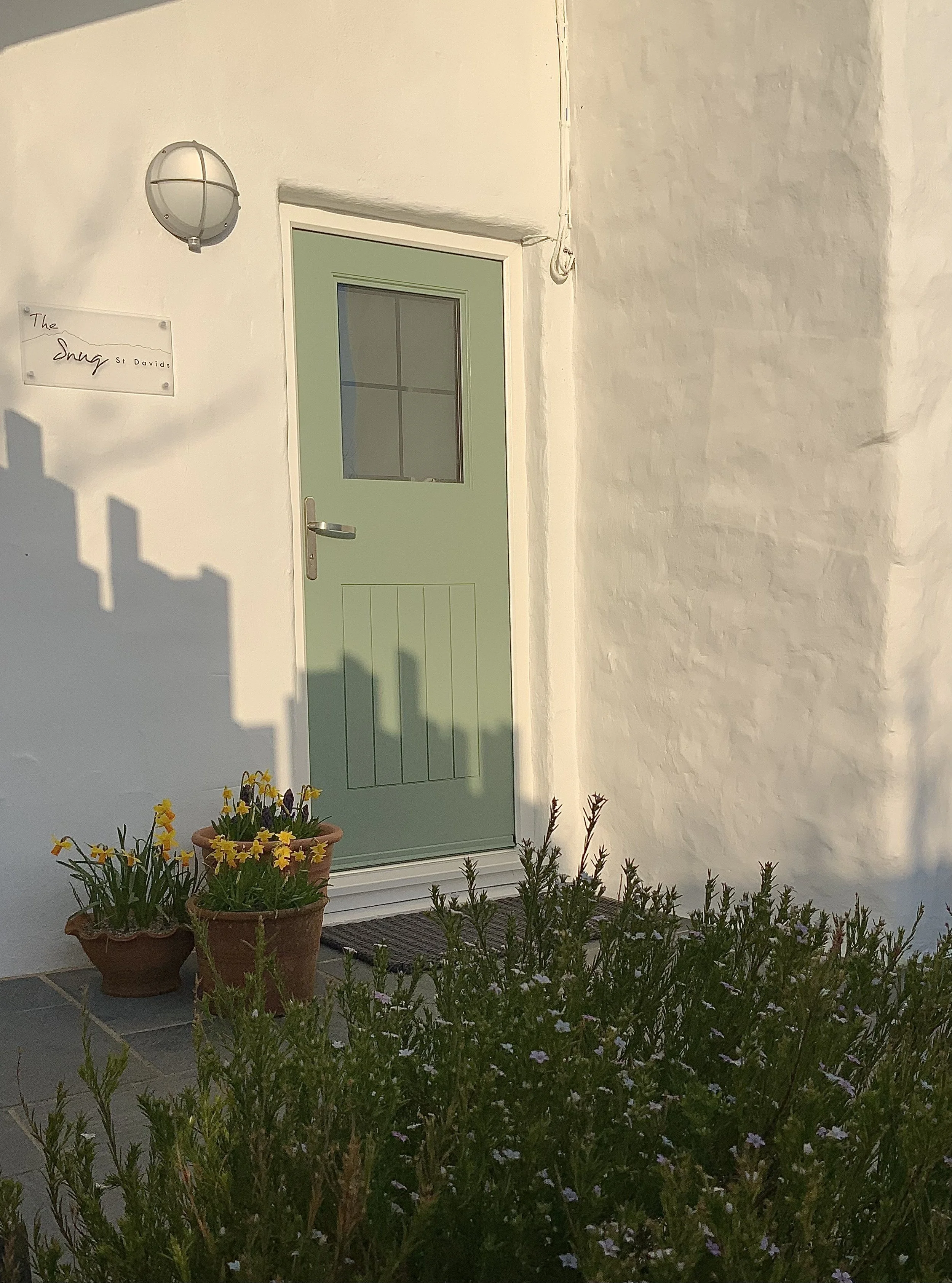 Green door on a white building with potted yellow flowers and an outdoor light.