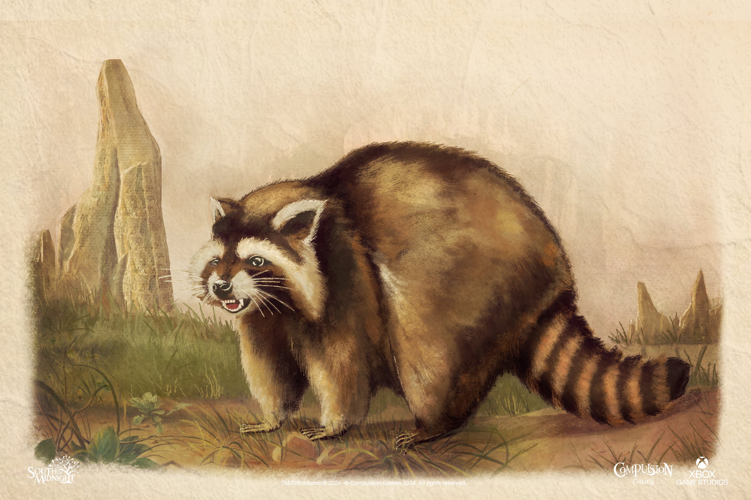 audobonstyle_Raccoon_illustration.png