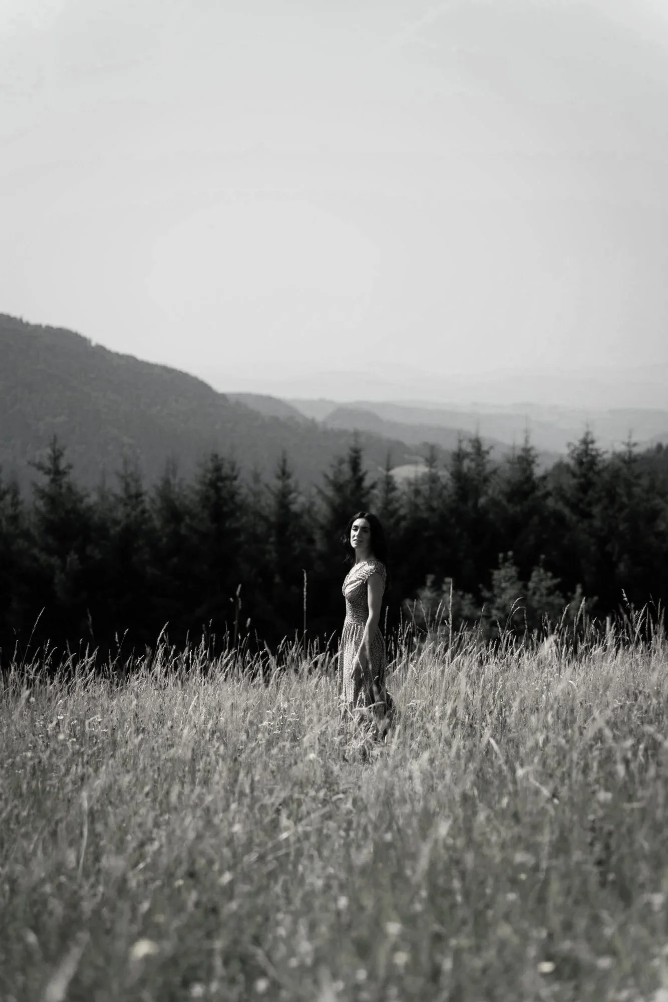 Canalisation : Novembre 2025 à Novembre 2026 — Une Année d'Intenses Transformations (Partie 2)