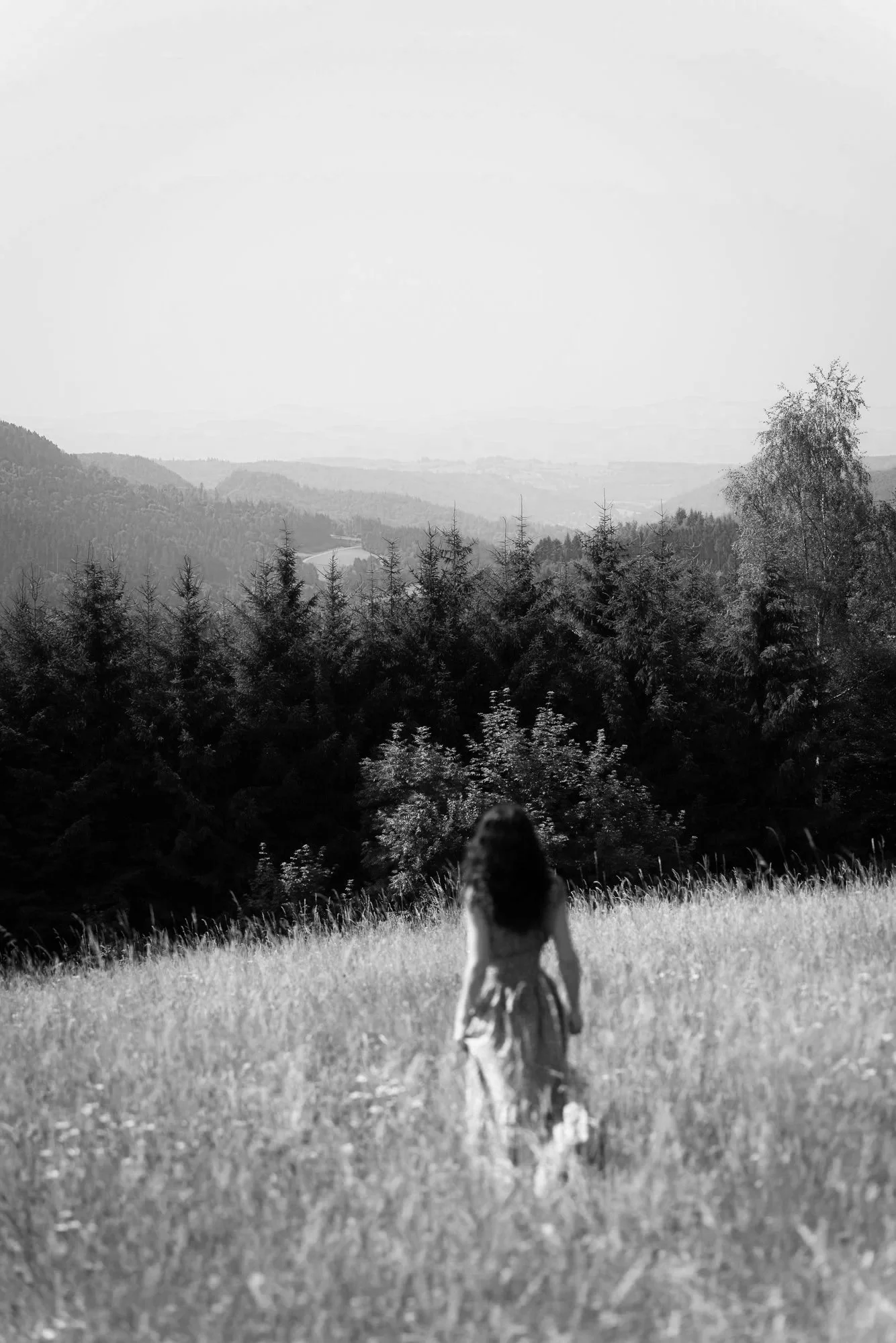 Dictionary about Ascension 