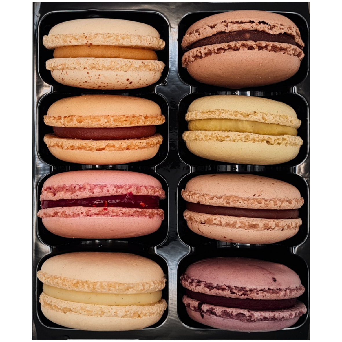Assortiment de palets de chocolat noir 62% ou lait 35% garnis de noisettes, pistaches, cranberries et abricots 16€00 - 190g (1).png