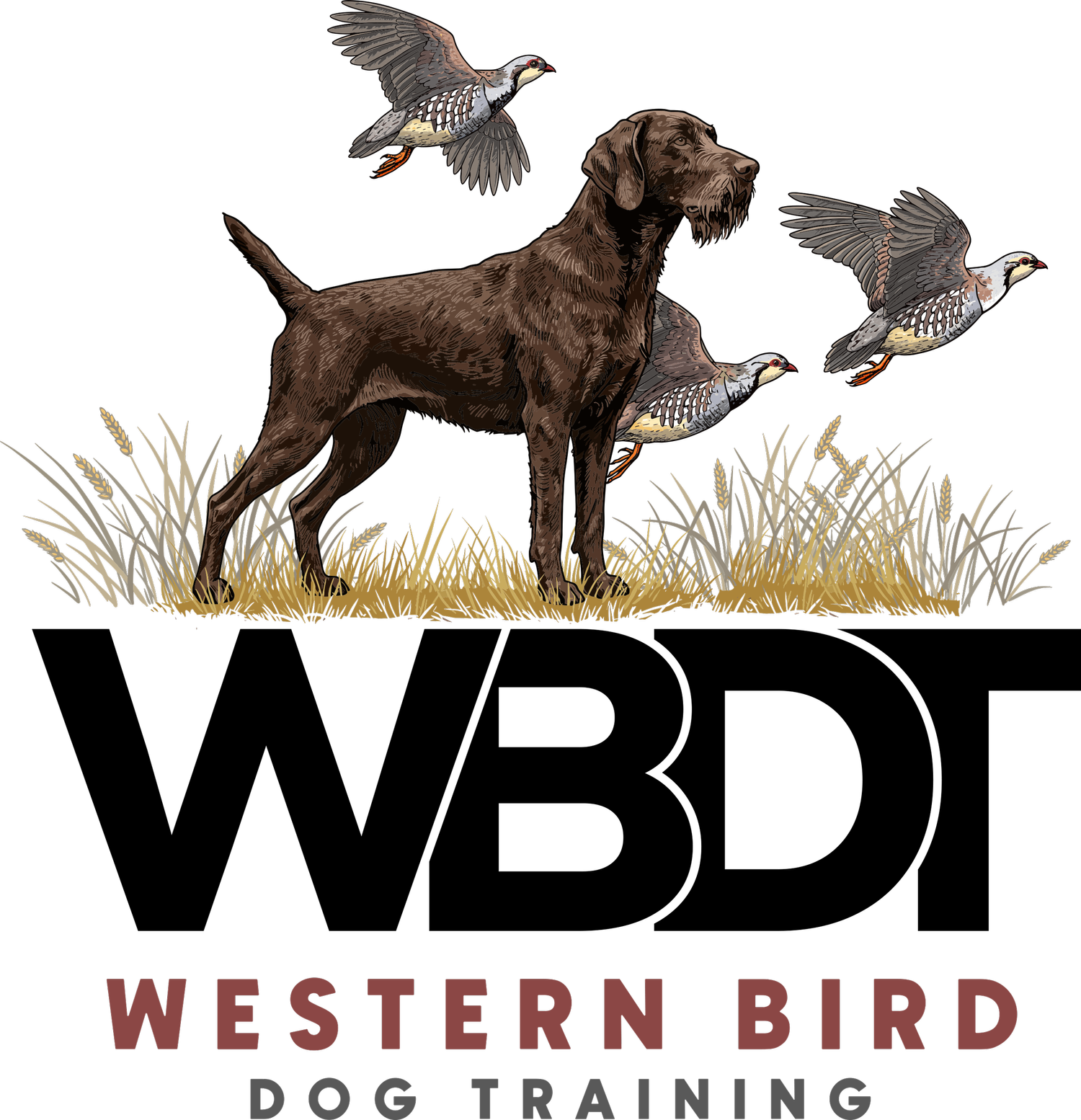 WESTERN BIRD DOG TRAINING