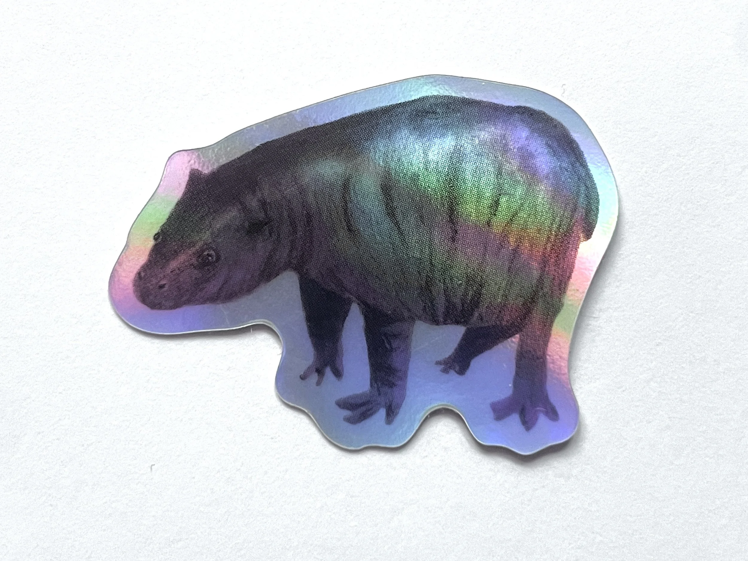 Baby Pygmy Hippo Holographic Sticker (1.5")