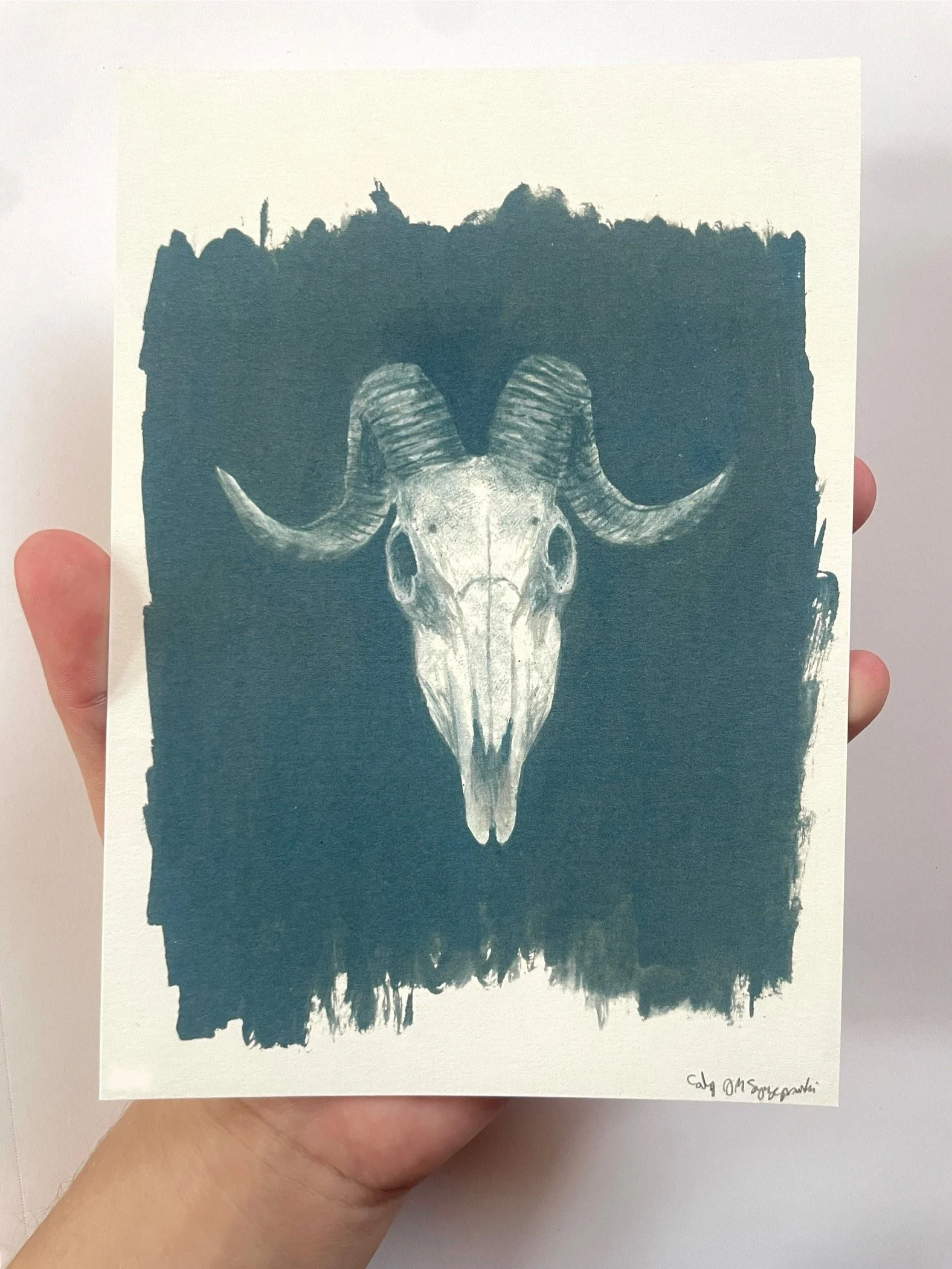 Ram Skull Print (5"x7")