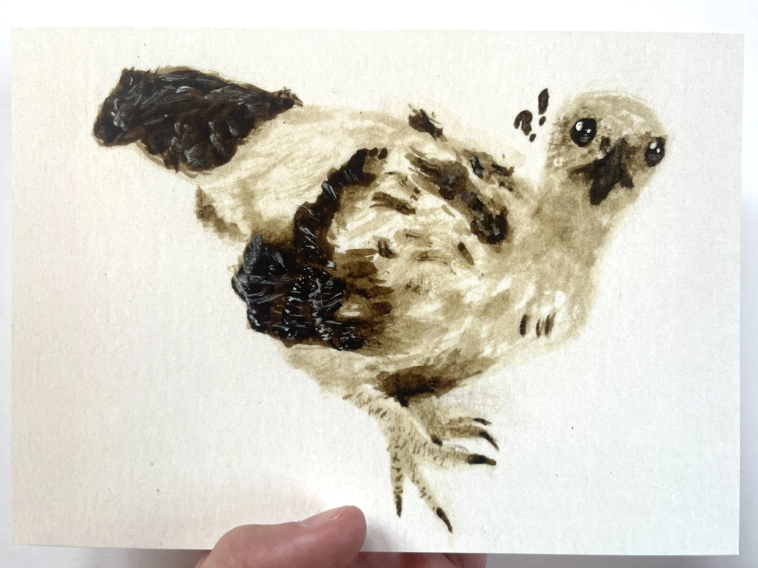 Confused Bird Print (Hand).jpg