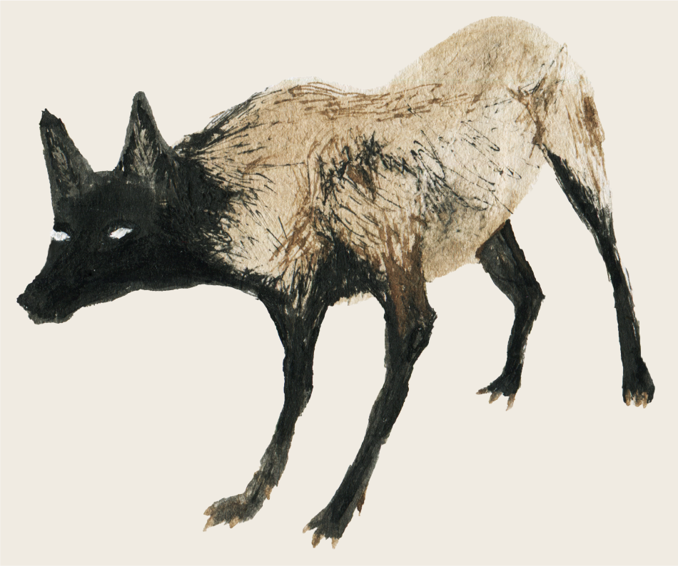 Watercolor painting of a black and brown wolf standing on a light background.