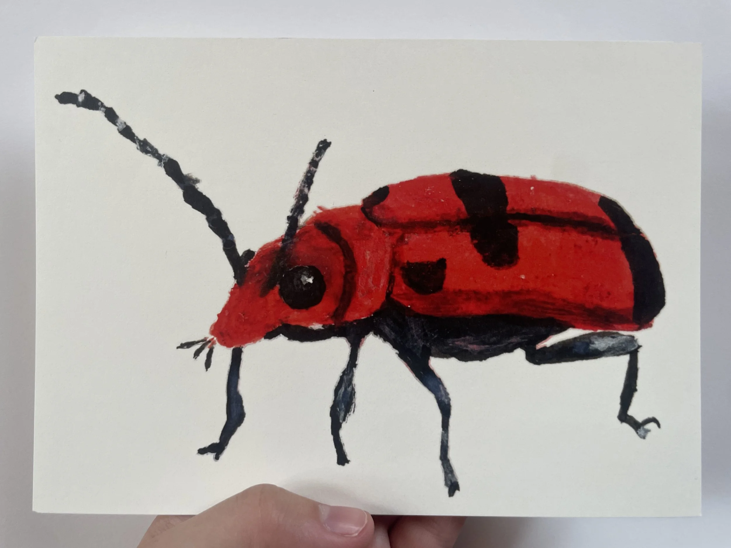 Six Spotted Neomela Print (5"x7")