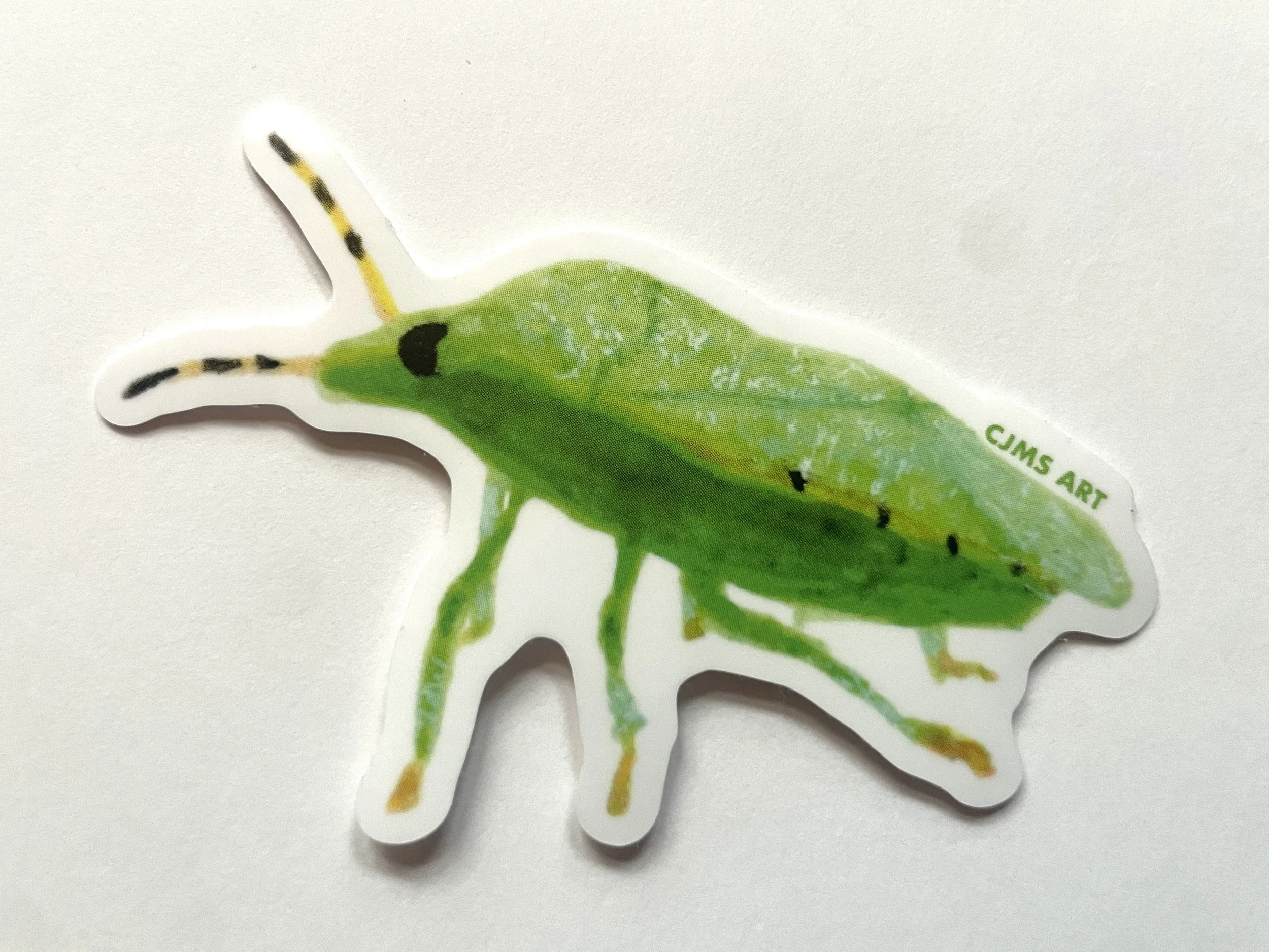 Southern Green Stink Bug Sticker (3")
