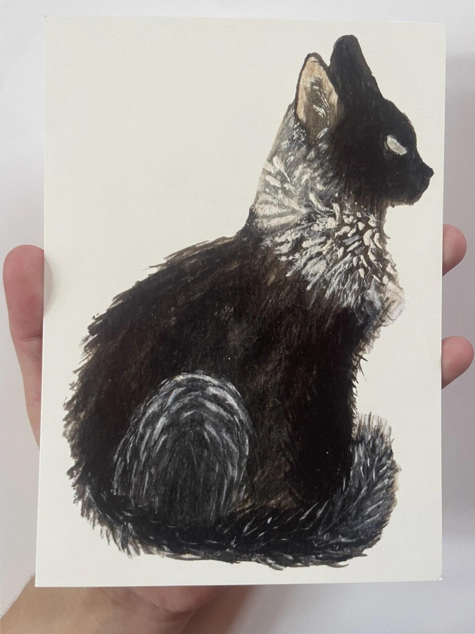 Black Cat Print (5"x7")